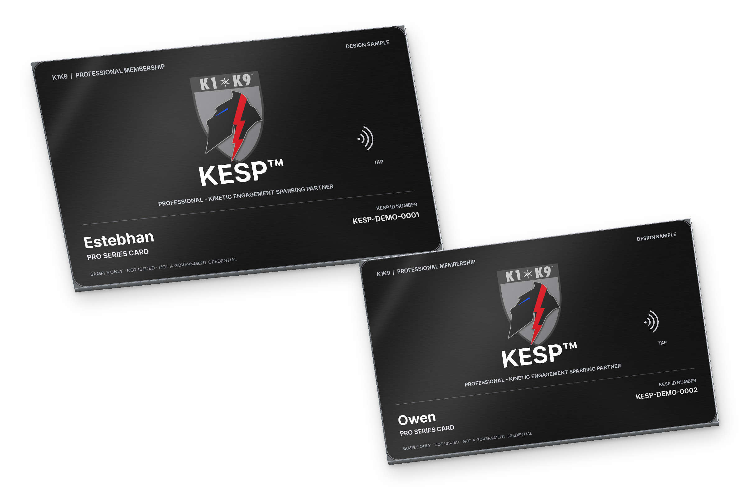 Enlarged dimensional black-metal KESP Pro Series Card design samples