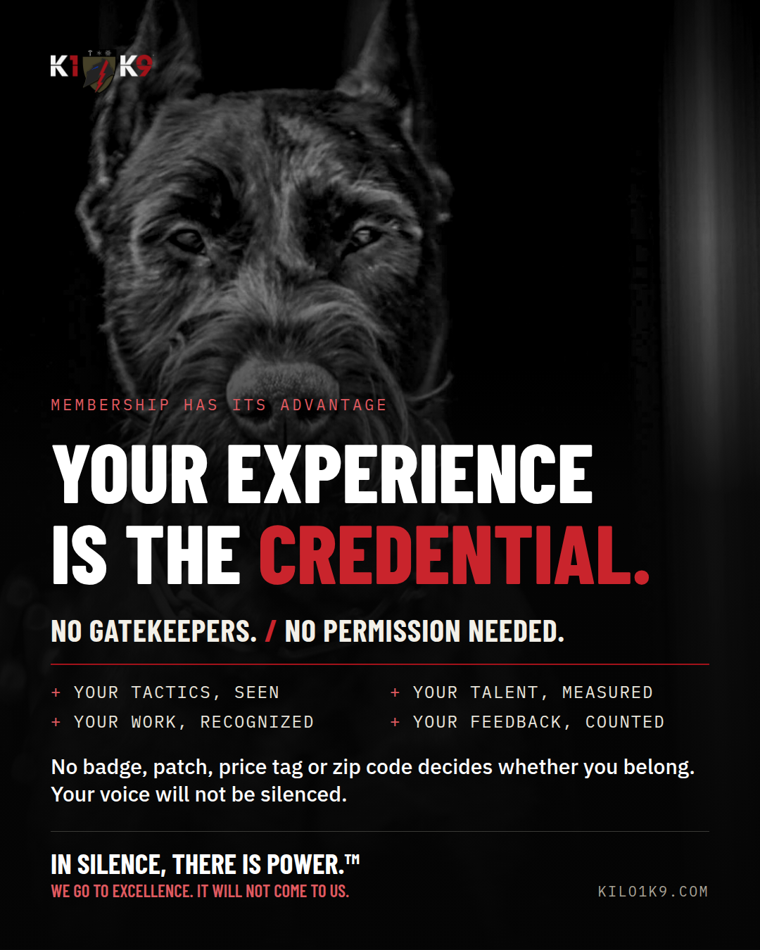 Membership campaign: Your experience is the credential. No gatekeepers. No permission needed. Your work recognized and your feedback counted.